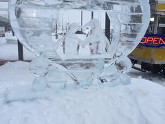 厳冬の旭川冬まつりと旭山動物園