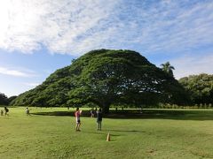 2016新春・ハワイ挙式！一族大移動の旅−７　【島内観光・帰国編】