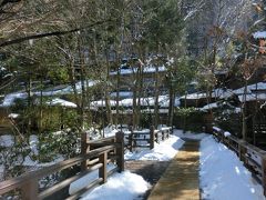 仙仁温泉岩の湯　癒しの宿で雪籠りツアー