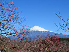 絶景★富士山 まるごと岩本山開催中の岩本山へ・リベンジ 2016.02.10