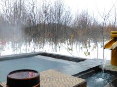 冬の角館へ（２）～里山に抱かれた茅葺古民家の湯宿　《角館山荘侘桜 》で雪を愛でる