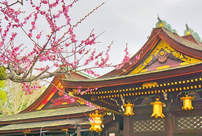 梅香る北野天満宮あたりを散策 今出川 北大路 北野 京都 の旅行記 ブログ By Akikoさん フォートラベル