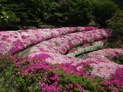 府民の森　なるかわ園地