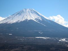 珍しい雨氷が見られた！　山頂はまるで花の山　富士山目の前の竜ヶ岳