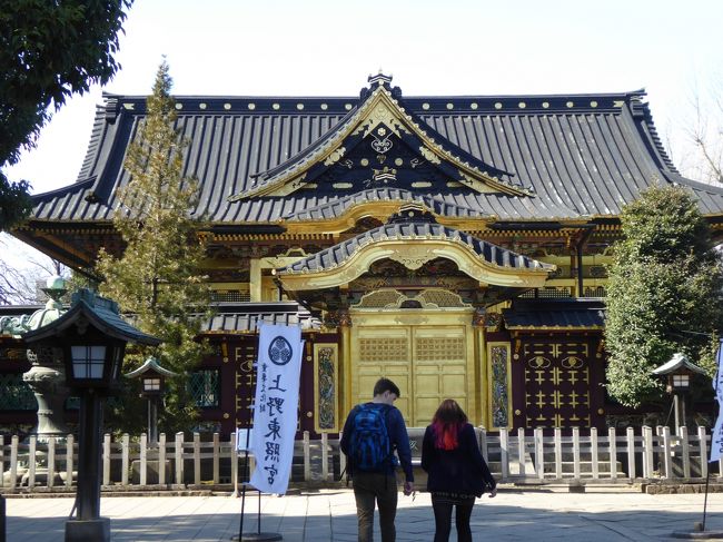 ２０１６年２月７日<br />冬牡丹鑑賞のために上野公園へ行きました♪<br /><br />「上野東照宮」の「ぼたん苑」を鑑賞したら、<br />「上野東照宮」へ。<br />日光の東照宮と同じ系列なのかな？<br />行くと、外国人でいっぱい賑やかで驚く。<br />江戸様式の装飾で飾られた門や外壁は、<br />カラフルでびっくり。<br />しかも見事な動物や花の彫刻が飾られ、<br />美しい。<br />これを目当てに外国人が来たのかと思うと納得。<br />でも、動物といってもほとんどは鳥。<br />しかもインコと思われる南国の鳥が見えるが？<br />ゆったりと江戸の雅な雰囲気を感じて♪