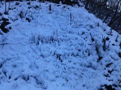 入間散歩の後にあしがくぼの氷柱を見に行ってきました