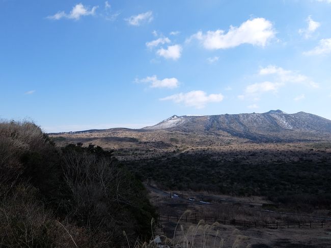 少し早いですが、春を感じるために、伊豆大島にいって来ました。<br />個人で手配すると高くなるため、東海汽船の日帰りツアー（９千円）で行きました。<br />伊豆大島は、東京から手軽にいける離島でした。<br />