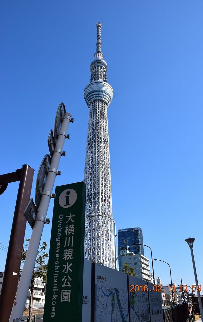 朝から快晴に恵まれた真冬の休日、スカイツリー近くにある大横川親水公園に行ってきました。<br />大横川親水公園は、東京スカイツリーの根元にある業平橋から南下して錦糸町駅近くの撞木橋まで続く長さ約1.9?、幅約40mの細長い公園です。<br /><br />公園内は5つの趣きが異なるゾーンに分かれており、公園を跨ぐ橋で区切られています。<br />園内には釣堀やテニスコート、噴水やイベント広場、渓谷を再現した花紅葉ゾーン、遊具がある河童川原ゾーンなどがあり、公園の端から端まで歩くだけでも楽しめます。<br /><br />大横川親水公園<br />http://www.sumida-gg.or.jp/arekore/SUMIDA016/yokokawa/shinsui.html