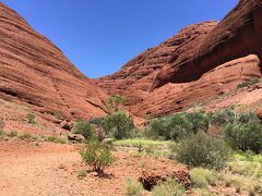 家族3人でオーストラリア旅行2週間　６日目（Kata-Tjuta)