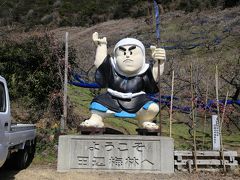 旅するイルカ♪　梅だより　2016　Part2 和歌山　田辺梅林＆奥みなべ梅林へ