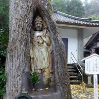 湖上館パムコ *諦応寺の銀杏観音*萬徳寺の大山モミジ書院庭園に行ってきました。