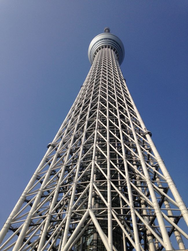 仕事で訪れた東京です。旅行記というより備忘録です。<br />はじめてのスカイツリー・浅草・皇居・フジテレビなどおのぼりさんでした。<br />表紙写真は、やっぱりスカイツリーですよ。