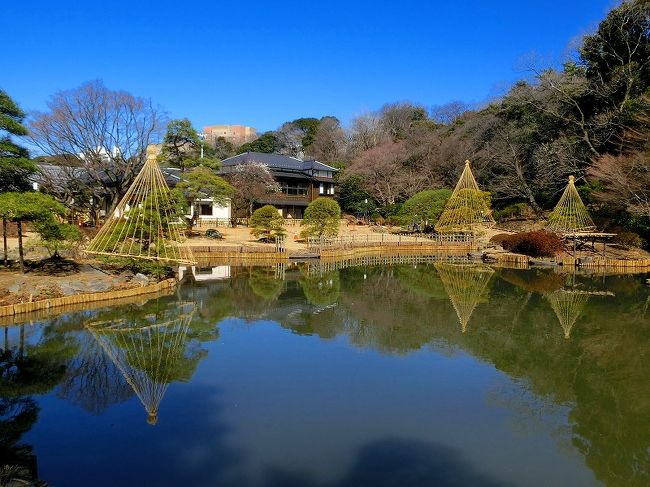 リニューアルオープン・新江戸川公園２