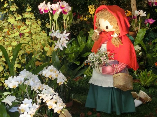 東京ドーム 世界らん展2016 すごいな 高校生の作品 水道橋 東京 の旅行記 ブログ By あんみつ姫さん フォートラベル 東京ドーム 世界らん展2016 すごいな 高校生の作品 水道橋 東京 の旅行記 ブログ By あんみつ姫さん フォートラベル