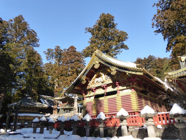 2月15日〜16日の1泊2日、日光と鬼怒川温泉へ愛犬と一緒に行きました♪<br />存分に観光と温泉を楽しんできました♪<br /><br />☆Ｖｏｌ２：第１日目（２月１５日午前）日光♪<br />日光東照宮は４５年ぶり。<br />子供時代が懐かしく思い出される。<br />あのときは夏休みで、<br />ものすごく暑かったことを覚えている。<br />今は真冬。<br />氷点下の冷気の中、<br />雪の東照宮へ。<br />今年は御鎮座四百年。<br />表門から入ると、<br /> 下神庫・中神庫・上神庫の三つの建物が並ぶ。<br />いずれも平成の大修理を終えて、<br />まばゆい黄金の輝きに驚愕。<br />黄金にカラフルな色合いの彫刻が復活して、<br />こんなにすごかったのか？と思う。<br />しかも、周囲の雪景色、真っ青な空と相まって<br />見事な風景。<br />それとは反対側に位置するのが有名な神厩舎。<br />三猿。<br />聞かざる・言わざる・見ざる。<br />今年は申年。<br />こちらは修理をしていないので<br />色合いが剥げてしかもボロボロ。<br />修理をしたら、どんなものかと見たくなる。<br />そしてお守りの売り場。<br />たくさんのお守りやグッズがたくさん並べられ、<br />びっくり。<br />今や世界観光地となっているから、<br />商売も力を入れているのだろう。<br />もともと東照宮とは徳川家康のための霊廟。<br />なので、神様は存在していない。<br />そのことを知っているので、<br />これらは買わないほうが賢明。<br />ただし、観光としての思い出にはいいかもしれない。<br />ゆったりと眺めて♪