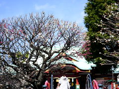 天神さまと梅の花　餃子とくず餅はセットで（笑）