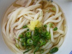 マイル消化のため高松日帰り、ひたすらうどんを食べた旅行記