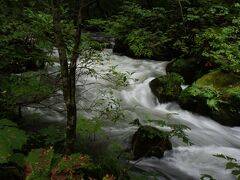 奥入瀬・八甲田 青森自然散策の旅