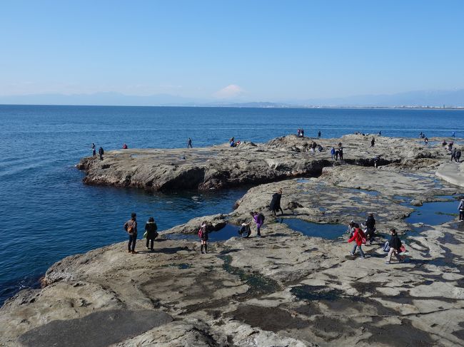 江ノ島の稚児ヶ淵は平らな岩場がひろがる開放的な海岸です。しかし，伝説では，鎌倉相承院の稚児白菊が投身自殺したところとか。こんなところでは自殺はできないよ，と突っ込みは入れないでください。