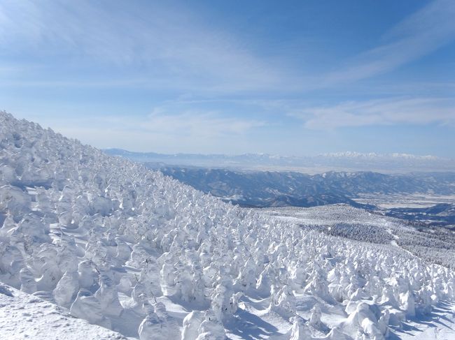 東北の雪まつりと温泉を楽しみに、山形→秋田→岩手とまわる10日間のひとり旅に出ました。<br /><br />山形駅近くに泊って、２日目はスノーモンスターと呼ばれる樹氷を見に蔵王へ。お天気がよくて素晴らしかったです！いやぁ、いいもの見ました！