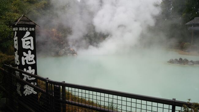 1泊2日で、四国と九州の両方を巡る旅をしてきました。<br /><br />元々、今回の旅のきっかけは、期限が迫っているJALのマイレージ消化でした。<br />JALのマイレージで、クラスJの無料航空券の枠があり、旅に無理のないスケジュールを組めるのが、「羽田-松山」と「大分-羽田」だったため、四国と九州を一度に楽しむ、自分だけの旅をすることにしました。<br /><br />四国と九州の両方で、温泉を楽しむ!<br />美味しいものも、もちろん、死ぬほど、食べる!<br />飛行機代タダ!<br />宿代も、Yahooのポイント利用でタダ!<br /><br />楽しくて安上がりな旅、たらふく楽しんできました~