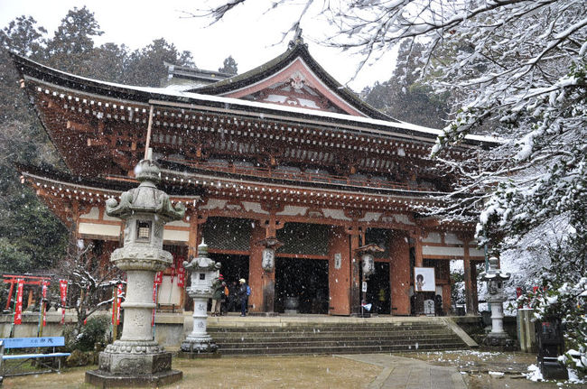 竹生島（ちくぶしま）に上陸した私たちは、竹生島・宝厳寺（ほうごんじ）を参拝しました。<br /><br />竹生島・宝厳寺　〜西国第三十番札所〜<br />[http://www.chikubushima.jp/]<br /><br />なお、このアルバムは、ガンまる日記：日帰り琵琶湖クルーズ（２）[http://marumi.tea-nifty.com/gammaru/2016/02/post-ba25.html]<br />とリンクしています。詳細については、そちらをご覧くだされば幸いです。