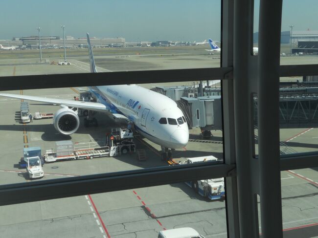定年の記念として、妻とともにイタリア(ローマ、フィレンツェ、ミラノ)を旅行しました。<br />初めてのイタリアで、不安でしたが、旅行を満喫して無事に帰ってくることが出来ました。<br /><br />■■1日目(2016年3月17日 木曜日)■■■■<br />羽田空港からANA(NH217)にてミュンヘン空港へ、ミュンヘン空港からはANA(NH6095)にてローマのフィウミチーノ空港へ移動しました。<br />フィウミチーノ空港からレオナルド・エクスプレスにてローマ・テルミニ駅へ移動、テルミニ駅からは徒歩でホテルへ移動しました。<br /><br />------------------------------------------------------------------<br /><br />【今回のスケジュール】<br />・1日目(3月17日(木曜日))<br /> 羽田空港→ミュンヘン空港 移動(ANA217 )<br /> ミュンヘン空港→フィウミチーノ空港 移動(ANA NH6095)<br /> フィウミチーノ空港→ローマ・テルミニ駅 移動(レオナルド・エックスプレス)<br /> ≪ローマ泊≫<br />http://4travel.jp/travelogue/11105898<br /><br />・2日目(3月18日(金曜日))<br /> ローマ市内観光<br /> ≪ローマ泊≫<br />http://4travel.jp/travelogue/11114846<br /><br />・3日目(3月19日(土曜日))<br /> ローマ・テルミニ駅 → フィレンツェ中央駅 移動(電車 Frecciarossa9414)<br /> フィレンツェ市内観光<br /> ≪フィレンツェ泊≫<br />http://4travel.jp/travelogue/11114979<br /><br />・4日目(3月20日(日曜日))<br /> フィレンツェ市内観光<br /> ≪フィレンツェ泊≫<br />http://4travel.jp/travelogue/11115017<br /><br />・5日目(3月21日(月曜日))<br /> フィレンツェ市内観光<br /> フィレンツェ中央駅 → ミラノ中央駅 移動(電車 Frecciarossa9540)<br /> ≪ミラノ泊≫<br />http://4travel.jp/travelogue/11115888<br />http://4travel.jp/travelogue/11115023<br /><br />・6日目(3月22日(火曜日))<br /> ミラノ市内観光<br /> ミラノ空港 → ミュンヘン空港 移動(ANA NH6054)<br /> ミュンヘン空港 → 羽田空港 移動(ANA NH218)<br />http://4travel.jp/travelogue/11115025