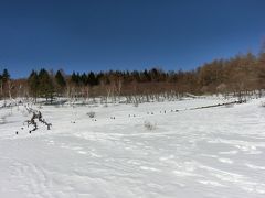 入笠山スノーシュートレッキング