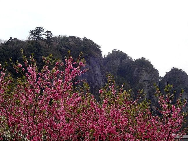 旅行四日目は九州でも選りすぐりの景勝地といわれる耶馬渓の春を楽しみました。<br /><br />耶馬渓は昔は読み方もわからなかった地ですが(^_^;)九州に行ったら必須の奇勝ということで是非訪れたいものだと思っていた地です。<br /><br />初春の耶馬渓は静かに我々を迎えてくれました！<br /><br />その後は福岡に向かいます。<br /><br />福岡では福岡タワーに登って博多の全景を楽しみました。<br /><br />