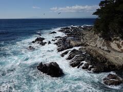 <関東ふれあいの道・神奈川県コース> ③荒崎・潮騒のみち