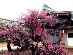 京都　上七軒を通って北野天満宮へ