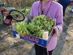 ルーマニアの田舎：ドライブ旅行記 ～大列車強盗編～