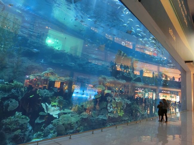 「ドバイ水族館」は「アラブ首長国連邦」の「ドバイ」にある「世界最大級」の「ショッピングセンター」にある「世界最大級の水槽（長さ５１ｍ、幅２０ｍ、高さ１１ｍ）」を誇る「水族館」です。<br /><br />写真は「日プラ株式会社」が製造した「アクリルパネル」の「世界最大級の水槽」です。