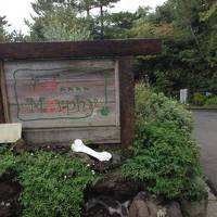 ペットと泊まれる貸切天然温泉の宿 マーフィに関する旅行記 ブログ フォートラベル 伊豆高原