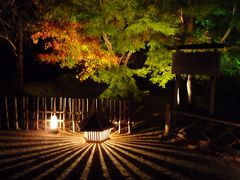 12月上旬　混雑を避けて・・・心静かに紅葉を愛でる京都・嵐山