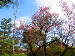 ひな人形めぐり　「梅香る城下町」　大和郡山編