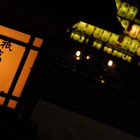 冬の京都で侘びを感じる一人旅　（1日目：ほぼ移動＋夜の祇園をぶらぶら散歩）