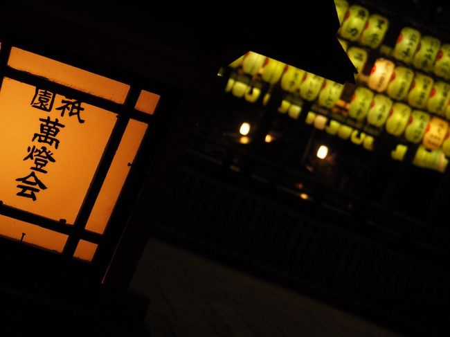 「就職したら海外勤務が多そうだし、学生最後の休みは国内旅行に行こう」と思い立ち、京都への一人旅を思いつきました。<br /><br />桜は咲いていない。<br />紅葉もしていない。<br />お祭りもやっていない。<br /><br />…と、完全にオフシーズンでしたが、かえって京都そのものの魅力を感じられたかもしれません。そんな気持ちになるほど充実した旅を送ることができました。<br /><br /><br /><行程><br />★1日目:移動+夜の祇園をぶらぶら<br />○2日目:洛東エリア(清水寺、知恩院、高台寺、建仁寺など)<br />○3日目:嵐山→金閣寺周辺エリア(天龍寺、龍安寺、金閣、源光庵など)<br />○4日目:東山エリア→北山エリア(南禅寺、銀閣、下鴨神社、上賀茂神社など)<br />○5日目:その他(東福寺、東寺、宇治、伏見)