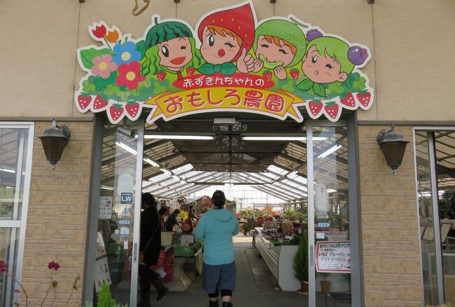 ハウスイチゴ園の規模が日本最大級と宣伝されていた、掛川のイチゴ園でのイチゴ狩りの後、開通したばかりの第二東名の岡崎SAに立寄り、出発地点の赤池駅に戻りました。