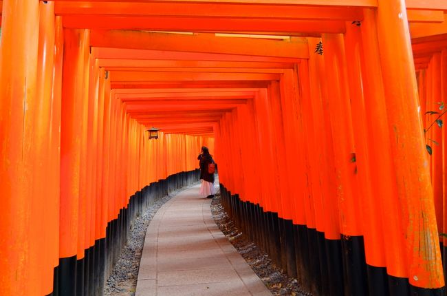 さて、2泊3日で「京都＆福井」の旅に行って来ました。<br />旅行記③もまだ京都です。<br /><br />最初の写真なんですが、伏見稲荷大社です。<br /><br />taroトラベルも「伏見稲荷の千本鳥居のイイ感じの写真が撮りたい～！！」と思ってたんですが、春節の連休にあたるこの日は凄く多くの参拝客なんですね。<br /><br />なので、人ごみの中、写真を撮るのは難しいね～と諦めていたんですが、運良く？いい写真が撮れました！(^_^;)<br /><br />その後は世界遺産の西本願寺に初めて訪れてみました。<br /><br />こちらも予想以上に素晴らしいところでした。<br /><br />京都観光はこれにて終了。<br /><br />その後は福井へ向かいます。<br /><br /><br />旅行記①　京の王道まち歩き編<br />http://4travel.jp/travelogue/11104303<br /><br />旅行記②　町家にステイ！京の片泊まり編<br />http://4travel.jp/travelogue/11105400