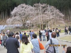 姉妹４で人お花見