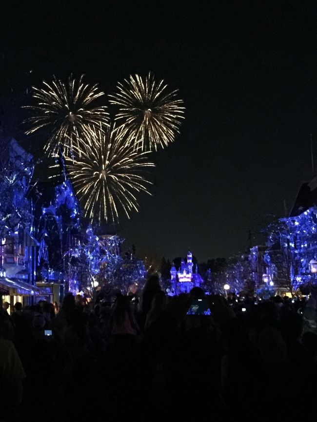 今回のディズニーランド滞在は３泊４日だけど、１日目は午後３時にホテル着、４日目は午前１０時にはホテルを出なくちゃならないから、目いっぱい遊んでも２日半。<br /><br />とりあえずパークチケットは４日間のパークホッパーチケット（２つのパーク行き来自由）を用意していただいたので、今日はどっち、とか決めなくてもいいんだけどね。<br /><br />行ったり来たりは効率悪いので、とりあえずは一つに絞って動きます。<br />今日は、火曜日なのでオフィシャルホテル宿泊者が１時間優先入場できる「エクストラ・マジック・アワー」はディズニーランド・パーク。<br />なので、今日は１日ディズニーランド・パークで遊びます。<br /><br />広いようで狭い、狭いようで広いパーク。<br />無駄な動きもしてるけど、ただ歩いてても楽しいもんね。<br />１日の間に盛りだくさんに詰め込んで、目いっぱい楽しんできました～。＼(^o^)／<br /><br />トップの写真は、「ディズニーランド・フォーエバー」の花火で、偶然とらえたミッキーの形の花火です。