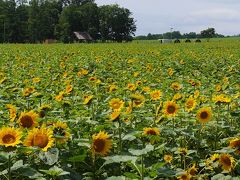 201507北海道旅行 第27回 最終日【北竜町】