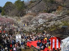 大倉山観梅会　２０１６