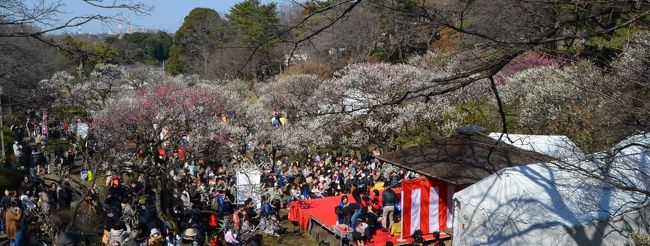 大倉山観梅会　２０１６