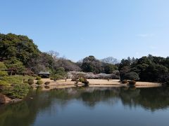 2016年2月　いい天気なので新宿御苑を散策