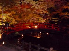 12月上旬　混雑を避けて・・・心静かに紅葉を愛でる京都・北野天満宮