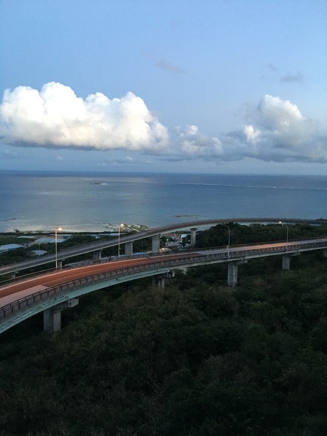 ≪2016.Feb≫あみんちゅ歴史に触れる旅沖縄本島その弐之壱～1日目：そして沖縄へ編～<br /><br />今回の早春の沖縄旅はガマ・戦跡巡りに重点を置いたものに決めました。事前に目的地を沖縄県南城市にある〝糸数アブチラガマ〟と島尻郡南風原町の〝沖縄陸軍病院南風原壕群20号〟に決め、出発前に珍しく必要な手続きを取って〝入壕〟の予約を済ませました。<br /><br />平成28（2016）年2月28日日曜日<br /><br />ど田舎自宅　07：08<br />田舎の駅　07：15<br />　　　　　07：28【新快速姫路行き：240円】<br />京都　07：28<br />　　　07：45<br />京都駅八条口　07：50<br />ホテル京阪前　08：02【関西空港リムジンバス（往復）：4,180円】<br />高速京田辺　08：18<br />　　　　　　08：20<br />関西空港第一ターミナル　09：20<br />　　　　　　　　　　　　09：23<br />関西空港第二ターミナル　09：29<br />10：00（チェックイン）<br />10：16（セキュリティ）<br />10：29（搭乗開始）<br />10：34（搭乗）<br />10：39（シートベルト）<br />10：48（ドアクローズ）<br />10：52（タキシング）<br />11：01（離陸）【MM215：6,930円】<br />那覇空港LCCターミナル　13：07（車輪）<br />13：10（着陸）<br />13：16（駐機）<br />13：18（ドアオープン）<br />13：18（降機）<br />13：21（バス出発）<br />13：22（ターミナル到着）<br />13：28（ターミナルビル出）<br />13：53（シャトルバス出発）<br />那覇空港旅客ターミナル　14：00<br />　　　　　　　　　　　　14：14<br />シーサイドレンタカー　14：30<br />　　　　　　　　　　　14：52（0.0km）<br />南部総合観光センター　15：35（17.9km）<br />　　　　　　　　　　　18：02<br />糸数城跡　18：04（18.3km）<br />　　　　　18：25<br />ニライカナイ橋　18：35（27.0km）<br />　　　　　　　　18：53<br />ファミリーマート　19：09（38.6km）<br />具志頭向陽高校前店　19：41<br />ゲストハウスりゅうかく　19：56（43.5km）//<br /><br />ふぁ～っ、いつものことながら寝不足ですが朝5：00に起床します。あらかた纏まっている荷物を最終チェックし、寝ているオヤジ殿を起こし出発します。いつもと変わらない風景を見ながら南の島へと旅立ちます。田舎駅を出た新快速は僅か13分で京都に到着、地下通路出口を出てホテル京阪前の関西空港リムジンバス乗り場へと向かいます。しか～しここでハプニング！いつもの喫煙コーナーが閉鎖されています（泣）。どうやらあの螺旋階段が工事中のようで喫煙コーナーも利用できないとのことのようです。仕方がないのでバス乗り場へと直行し、リムジンバスの往復チケットを発行し、さっさとバスに乗込みます。<br /><br />定刻より若干遅れて出発した京阪バスオペレーションの関空リムジンは、途中高速京田辺に立ち寄り、関西空港第一ターミナルへと到着します。いつもならこちらで降りる方が多いのですが、今日はほとんどが第二ターミナルまで行かれました。そしてほぼ定刻に関西空港第二ターミナルへと到着。Peachを利用するなら間違いなくリムジンバスが便利で安いです♪<br /><br />やっと一服して例の〝ダンボール製チェックイン機〟で手続きをします。この話を聞いてからPeachのチェックインが楽しくて仕方がありません♪そしてそのままセキュリティを通過、あの狭い第二ターミナルの出発ゲートへとやってきます。そしてまもなく搭乗開始、PeachのKIXでは窓側から優先搭乗が掛るので結構ルンルンです♪<br /><br />沖止めのMM215、沖縄那覇空港行きA320-200はいつものごとくちょこんと停まっており、タラップが掛けられています。1FのFASTSEATに陣取り、シートベルトを締めると暫くぼ～っと景色を眺めます。何度見ても空港らしからぬ建物群や景色を写真に収めているとどうやら搭乗が完了した様子。そういえばKIXのPeachってプッシュバックってなかったな・・・と思う間もなくタキシング開始。ほとんど離陸待ちもなく私を乗せたMM215・A320-200は大空へとTakeOff！して行きました。<br /><br />大阪はの気は良いものの花曇状態で眺望は望めず、また昨晩からの寝不足のこともあり、気がつくともう那覇空港へと着陸態勢に入っていました。眼下に沖縄県営平和祈念公園が見えるとまもなく着陸。4ヶ月ぶりの那覇空港です♪那覇空港もいつもならタラップと徒歩移動なのですが、なんの理由があってかバス移動でした。ターミナルビルをすっ飛ばし、その勢いでターミナル間シャトルバスに乗り込もうとするとまさかの人ごみ（泣）。この時間はバニラ便も到着しており結構混雑するようです…ハイ。ここで水を差されてしまったのでまたもや一服タ～イム。しかし今回は出発時刻を逆算で算出しているため、いつものようにマイペースとはいきません。なのでレンタカー会社に連絡した後適当に出発し、シャトルバスに揺られて空港旅客ターミナルへとやってきました。<br /><br />一階の③番出口前に到着し、三階の④番出発ゲートでレンタカーの送迎待ち。予想以上に移動に手間取り、やっと一服できたと思ったらいきなり電話が鳴りました。送迎車に乗り込んで那覇うみそらトンネルを経由し、15分程で今回お世話になるシーサイドレンタカーの営業所に到着しました。<br /><br />程度の良い中古車をレンタカーにしていることが多い格安レンタカー、やはりシーサイドレンタカーも同様です。が、車を見てびっくり！なんとホンダのORTHIAというステーションワゴンでした。レンタカーはよく利用していますが、車種無指定でこのサイズは多分はじめてのことです。とにもかくにもブツブツ言ってる時間がもったいないので、ガソリン代が安くなってるから～って〝て～げ～モード〟に切り替えて出発します。<br /><br />今日の予定は16：30から南城市玉城糸数の〝糸数アブチラガマ〟の見学ですが、少し時間があったので、最終日に行く予定だった大典寺に立ち寄ろうと走り出しました。僅か1km程の道、すぐに到着するのですがここでハプニング発生！なんと大規模なお葬式が行われています。元々お寺さんの駐車場がなく、コインパーキングの利用とは聞いていましたが、その駐車車両により渋滞が発生している様子。このままだと通り抜けることすらままならなくなる＝遅刻になるので、ナビを無視し脇道へと抜けた後、糸数アブチラガマへと向かうことにしました。<br /><br />その後がスムーズに走れたため、予定より早く糸数アブチラガマを管理されている南部総合観光センターに到着。あまり早くから押しかけるのもと思い付近を散策します。そして30分位前になって受付を済ませ、入壕代金250円・ガイド代1,000円・懐中電灯代100円をお支払いし、館内の展示を見ながらガイドさんの到着を待ちます。程なくしてガイドのGさんがご到着。ヘルメットを被りいざ糸数アブチラガマへと向かいます。<br /><br />Gさんは50代半ばの女性でやはり戦後世代ではあるものの、お母さんが戦争で負傷されたとのことでした。先入観と言ってしまうと聞こえはよくありませんが、今まで耳にした直接戦争を知らない世代のガイドさんのお話しは、被害者意識を誇張する傾向があるように思っていました。しかしGさんのお話しは、多分お人柄によるものもあるとは思いますが、決して決めつけるような話ではなく、むしろこのようなことが70年前にこの場所で起こりました。それに対してどのように思われますか？という対話形式だったように思えます。価値観が異なれば見解も異なる事実を踏まえた上で話を進めて行く・・・。実はこのようなやり取りが頭ごなしに知識をつけたものが、実は見当違いのものだったと心底から思えることだと改めて感じました。ガマの見学は通常30分なのですが、その時間を越えて丁寧なご説明をして頂きました。<br /><br />(注)糸数アブチラガマに関しては別途記述していますのでそちらをご参照下さい。<br /><br />時間が過ぎるのは本当に早く、あっという間の1時間でした。「一度自宅に戻って、今回得た知識を踏まえて自分の頭の中を整理し、機会を改めてまた来ますのでその時もよろしくお願い致します。」と丁寧にお礼を伝え、夕暮れの南部総合観光センターを後にします。<br /><br />南部総合観光センターの駐車場を出るとすぐ左手に糸数城跡の表示があり立ち寄りました。国の指定史跡にはなってはいるものの、知名度の問題なのか人が訪れる場所のようにも見えません。立派な石積みを堪能しながら陽の傾き具合を心配しつつ車へと戻ってきました。<br /><br />沖縄の日暮れの遅さにかまけてのんびり見て回っていましたが既に18：25、間もなく日が暮れようとしています。今日は奥武島に泊まるので大した距離はありませんが、ここでもうひとつ欲張り、二ライカナイ橋を目指します。沖縄県道86号線にある全長1,200mの曲がりくねった橋ですが、橋の上は駐停車禁止となっており、眺望を楽しむのは頂上付近のトンネルの上に位置する展望台だとありました。たまたま運良く展望台に向かう道の車止め前に停車しているレンタカーに気付いたので事なきことを得ましたが、もし通過していたなら多分時間的に見られなかったと思います。国道331号線から来ると橋を渡りトンネルを潜ってすぐのところを鋭角に右折するという芸当が必要となります。両脇は自衛隊の基地になっており、わかりやすいとは思うものの場所的には少し微妙かなとも思います。しかし山側の二ライ橋・海側のカナイ橋からなる二ライカナイ橋。沖縄で言われる海の向こうの理想郷に本当に繋がっているのではと錯覚を起こす景色は、日没間近であれど感動ものです！<br /><br />そして夜の帳が下りてきた頃、やっと初日の行程を終了し、奥武島へと向かいます。国道331号線から左折すると奥武島に入りますが、一旦通り過ぎコンビニへと立ち寄ります。飲み物と軽食を仕入れ、宿に電話を入れた後本日のラストラン。多分順調に行けば5分程の距離ですが、さすがにあたりは真っ暗感覚が掴めません。仕方がないのでもう一度電話を入れるとその隣の建物がそうだった・・・。そんなこんなでやってきたのは本日お世話になるゲストハウスりゅうかくでした。本日の走行距離43.5km、自宅を出発してから12時間48分で到着です。<br /><br />海岸周径1.7kmの奥武島という小さな島には5つの宿泊施設があるそうです。その中で2番目に新しいこの〝ゲストハウスりゅうかく〟、見た目は沖縄のペンション・民宿チックのように見えます。しかしコンセプトが面白く、以前ご夫婦でインドに行かれた時に現地で知った〝日本旅行の残念なところ〟にその原点があるそうです。ヒンドゥー教徒は豚肉を食べません。それが日本では聞き入れられなかったとのこと。ならば自分達でやろうか～ってことで始められたそうです。そのような背景もあり、宗教上は勿論のことアレルギーや好き嫌いにまでこだわった食事の提供。そのような斬新性がウケるのはやはり外国人ということで、オープンされてからの客層がほとんど外国人だったとのことでした。今年に入って急に日本観光客が増えたそうですが、まだまだ発展途上ではあるようです。<br /><br />エリア的にリゾートホテルを除くとバストイレ共同がほとんどですが、その中で個室シャワートイレ付きというのはやはり斬新です。やはりプライバシーが保護されることが快適さを感じる一番の理由とされる中では施設自体の希少価値もあるのではないでしょうか。ただお部屋は二部屋、シングル・ツインが各ひとつずつしかないため、2組3名しか泊まれないことから、ある意味泊まれればラッキーなのかも知れません。フレンドリーに接して頂ける中でも付かず離れずの距離感を保っていることは、あくまで旅の主役はゲストなんだというご配慮を感じました。その居心地の良さに加えて寝不足と長距離の移動、そして追われる時間から解放されたと思うと自然に眠気が襲ってきました。そして旅の初日は過ぎて行きますzzz。<br /><br />【本日の明細】<br />JR（石山～京都）：240円<br />リムジンバス片道（京都～関西空港）：2,090円<br />Peach MM215（KIXOKA）：6,930円<br />レンタカー：8,010円（クーポン・ポイント利用5,010円）<br />糸数アブチラガマ：1,350円（入壕250円・ガイド代1,000円・懐中電灯100円）<br />ゲストハウスりゅうかく（1泊朝食付：5,940円）<br />小計：24,560円（割引後：21,560円）<br /><br />これで〝≪2016.Feb≫あみんちゅ歴史に触れる旅沖縄本島その弐之壱～1日目：そして沖縄へ編～〟は終了です。