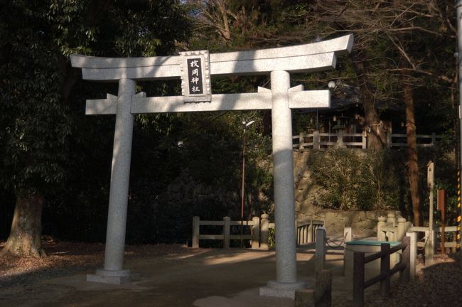 　平岡公園の梅林を見たついでに、枚岡神社へ参拝しました