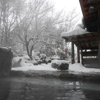 水上温泉日帰り旅行